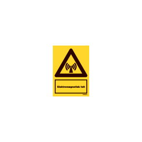 A308 - Elektromagnetisk felt