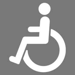 Premark� Invalidesymbol - 1000 mm - hvid