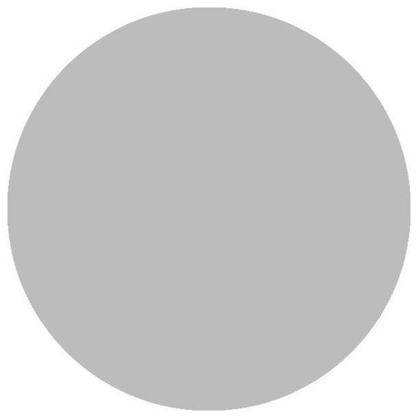 R� aluminium - 2 mm - �30 cm